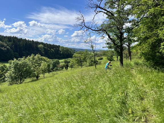 24-05-18 16-16-59 9474